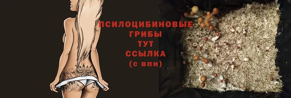 дурь Тайга