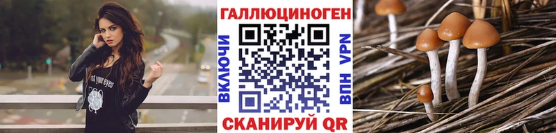 купить  цена  Власиха  Галлюциногенные грибы мухоморы 