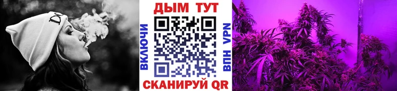 Бошки Шишки VHQ Власиха